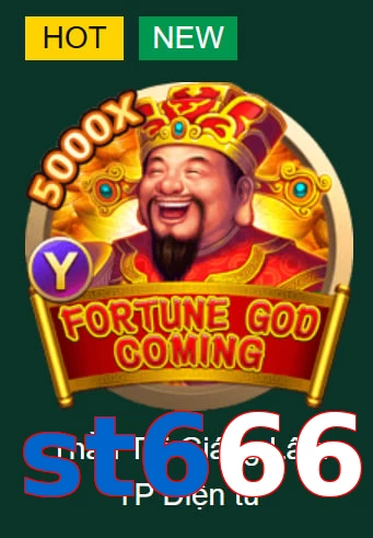 st666